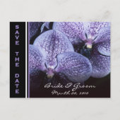 Paarse Orchideeën Save the Date Briefkaarten (Voorkant)