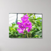 Paarse orchideeën uitzicht canvas print (Voorkant)