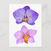 Paarse Orchideeën Waterverf Briefkaart (Voorkant)
