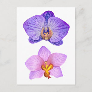 Paarse Orchideeën Waterverf Briefkaart