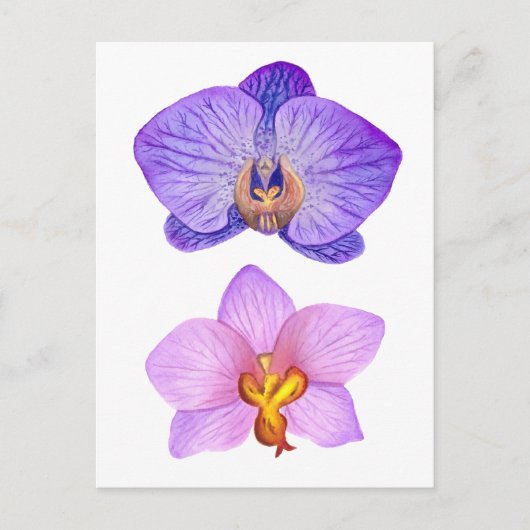 Paarse Orchideeën Waterverf Briefkaart (Voorkant)
