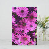 Paarse Osteospermbloemen Briefpapier (Staand voorkant)