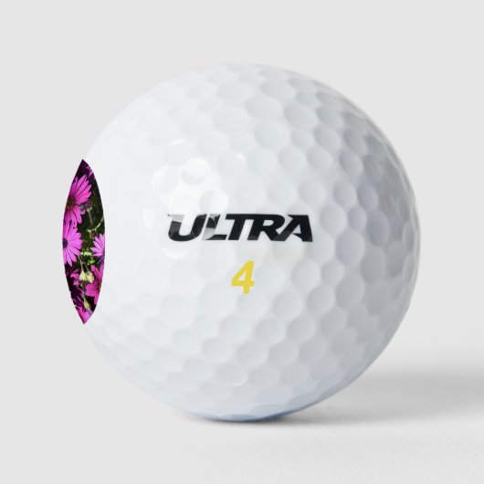 Paarse Osteospermbloemen Golfballen (Logo)