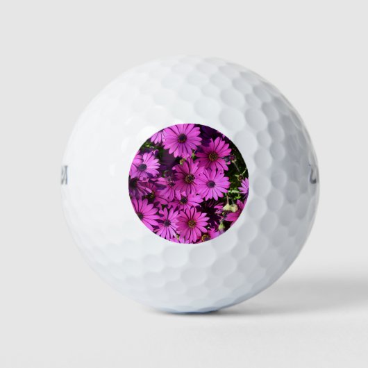 Paarse Osteospermbloemen Golfballen (Voorkant)