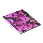 Paarse Osteospermbloemen Notitieblok (Schuin)