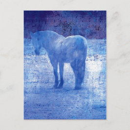 Paarse paard digitaal schilderen briefkaart