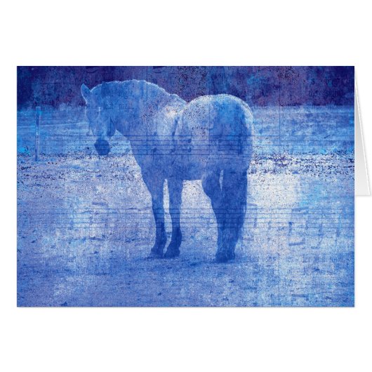 Paarse paardachtigen (Voorkant Horizontaal)