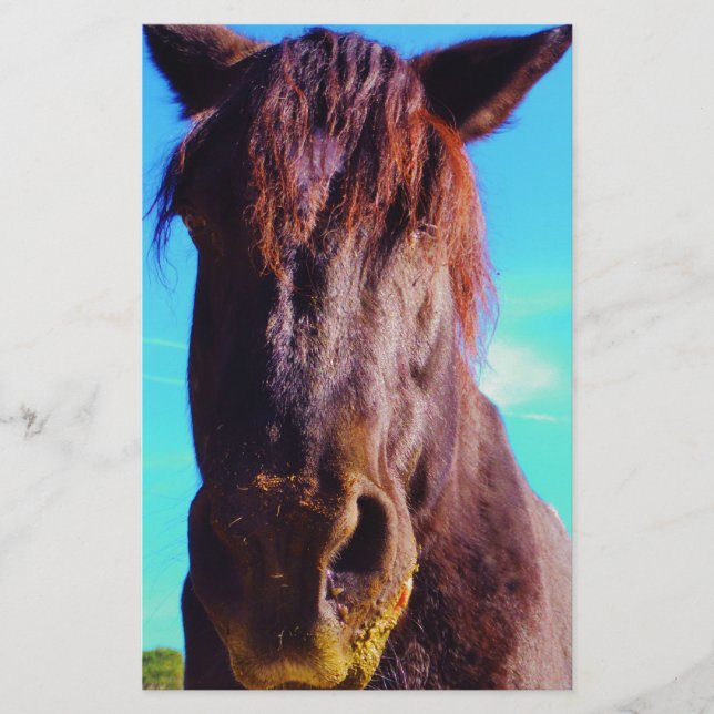 Paarse paarden met groene mond (Voorkant)