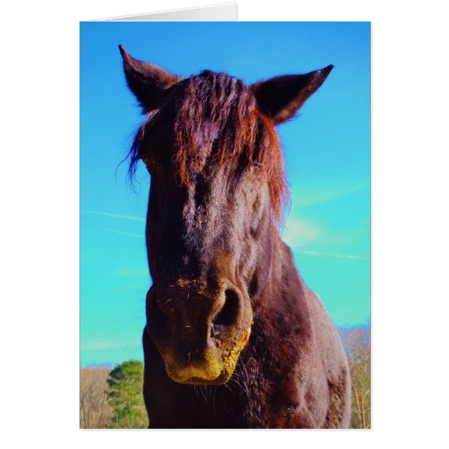 Paarse paarden met groene mond (Voorkant)