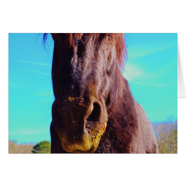 Paarse paarden met groene mond (Voorkant Horizontaal)