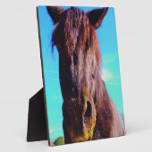 Paarse paarden met groene mond fotoplaat (Zijkant)