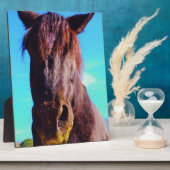 Paarse paarden met groene mond fotoplaat (Zijkant)