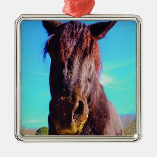 Paarse paarden met groene mond metalen ornament (Voorkant)