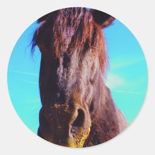 Paarse paarden met groene mond ronde sticker (Voorkant)