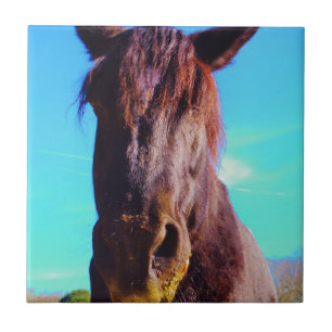 Paarse paarden met groene mond tegeltje