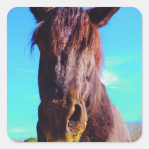Paarse paarden met groene mond vierkante sticker
