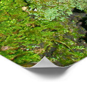 Paarse paddenstoel op Mossy Log Poster (Hoek)