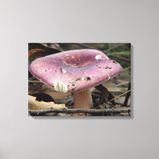 Paarse Paddestoel Verpakt Canvas Afdruk (Voorkant)