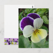 Paarse paniek briefkaart (Voorkant / Achterkant)