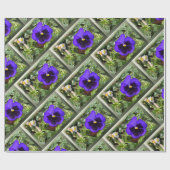 Paarse paniek cadeaupapier (Vlak)