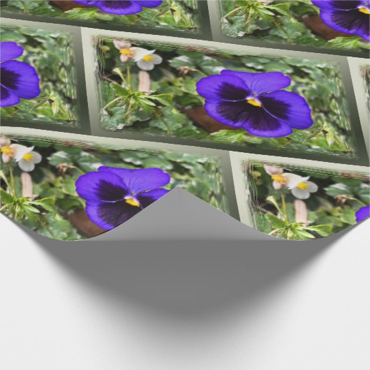 Paarse paniek cadeaupapier (Hoek)