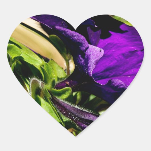 Paarse paniek hart sticker (Voorkant)