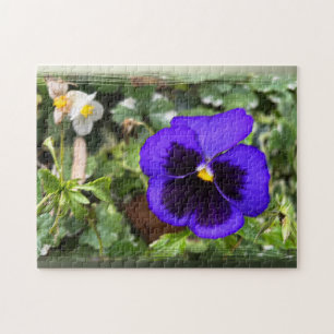 Paarse paniek legpuzzel