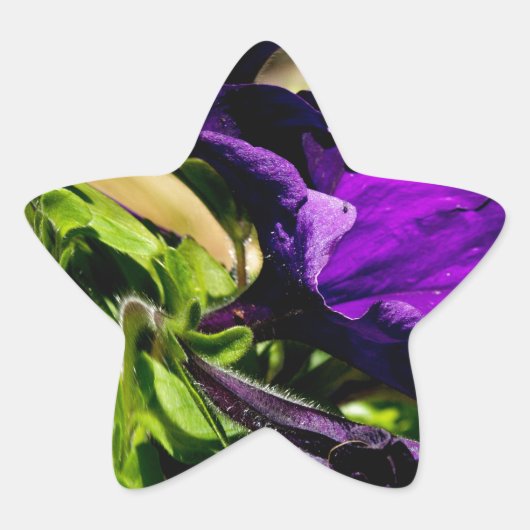 Paarse paniek ster sticker (Voorkant)