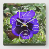 Paarse paniek vierkante klok (Voorkant)