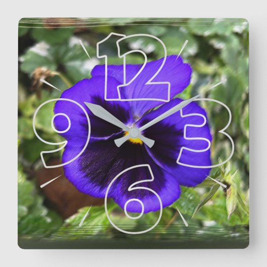 Paarse paniek vierkante klok (Voorkant)