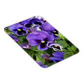 paarse paniekjes magneet (Rechterzijde)