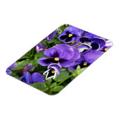 paarse paniekjes magneet (Linkerzijde)