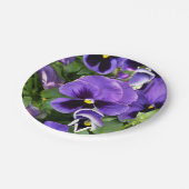 paarse paniekjes papieren bordje (Gekanteld)