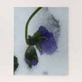 Paarse pansie op sneeuw legpuzzel (Verticaal)