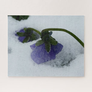 Paarse pansie op sneeuw legpuzzel