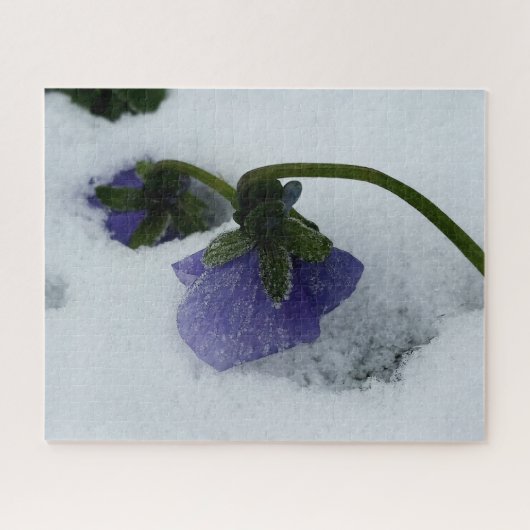 Paarse pansie op sneeuw legpuzzel (Horizontaal)
