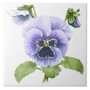 Paarse Pansies Bloemen Botanische kunst Tegeltje