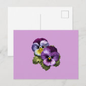  Paarse Pansies Briefkaart (Voorkant / Achterkant)