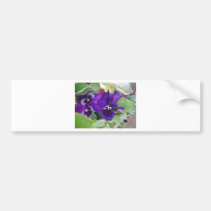 Paarse Pansies Bumpersticker