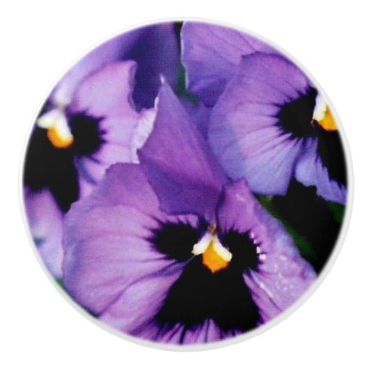 Paarse Pansies Drawer Knob Keramische Knop (Voorkant)
