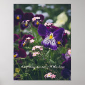 Paarse pansies en roze vergeet-me-nots poster (Voorkant)