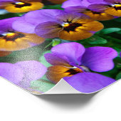 Paarse Pansies Foto Afdruk (Hoek)