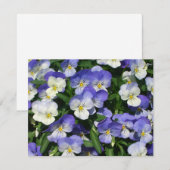 Paarse Pansies Garden Floral (Voorkant / Achterkant)