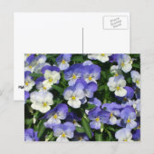 Paarse Pansies Garden Floral Briefkaart (Voorkant / Achterkant)