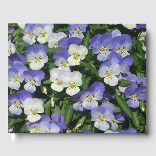 Paarse Pansies Garden Floral Gastenboek (Voorkant)