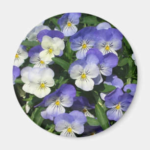 Paarse Pansies Garden Floral Magneet