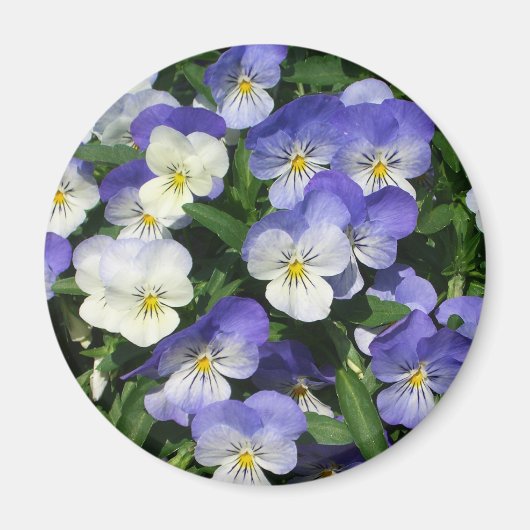 Paarse Pansies Garden Floral Magneet (Voorkant)