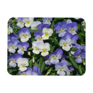 Paarse Pansies Garden Floral Magneet