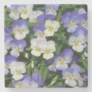 Paarse Pansies Garden Floral Stenen Onderzetter