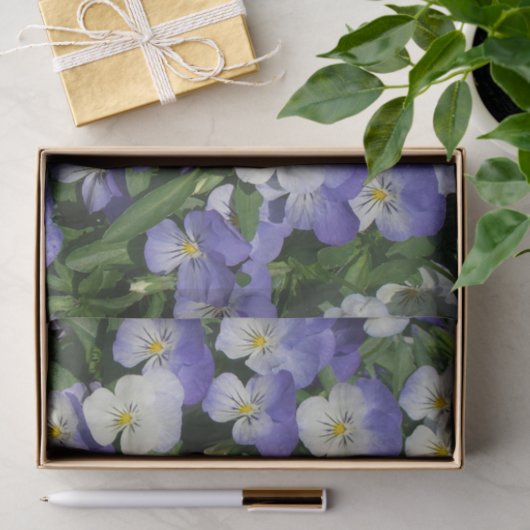 Paarse Pansies Garden Floral Tissuepapier (Geschenk)